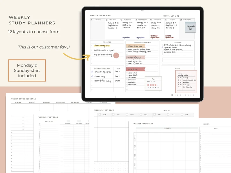 Nursing School Planner  Best Planners For Nurses